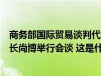 商务部国际贸易谈判代表兼副部长王受文与美国财政部副部长尚博举行会谈 这是什么情况？