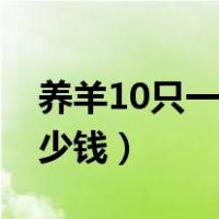 养羊10只一年赚多少钱（养羊50只一年赚多少钱）