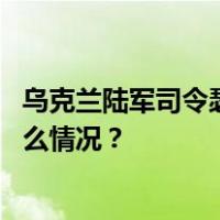 乌克兰陆军司令瑟尔斯基被任命为乌武装部队总司令 这是什么情况？