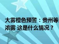 大雾橙色预警：贵州等地部分地区有能见度不足50米的特强浓雾 这是什么情况？