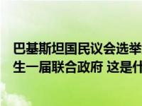 巴基斯坦国民议会选举结果公布！均未单独过半，预计将产生一届联合政府 这是什么情况？