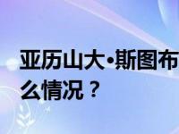 亚历山大·斯图布当选芬兰新一任总统 这是什么情况？