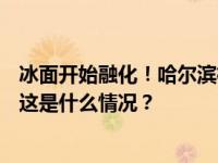 冰面开始融化！哈尔滨松花江冰雪嘉年华2月13日停止开放 这是什么情况？