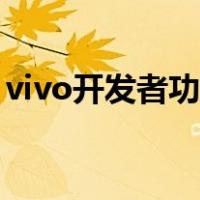 vivo开发者功能在哪（vivo开发者选项在哪）