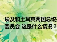 埃及和土耳其两国总统签署联合声明 将重组高级别战略合作委员会 这是什么情况？