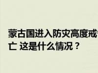 蒙古国进入防灾高度戒备状态，极端天气致超50万头牲畜死亡 这是什么情况？