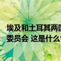 埃及和土耳其两国总统签署联合声明 将重组高级别战略合作委员会 这是什么情况？