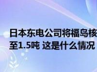 日本东电公司将福岛核污染水净化装置泄漏污染水总量下调至1.5吨 这是什么情况？