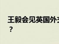 王毅会见英国外交大臣卡梅伦 这是什么情况？