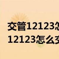 交管12123怎么交罚款本人没有驾驶证（交管12123怎么交罚款）