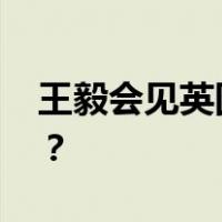 王毅会见英国外交大臣卡梅伦 这是什么情况？