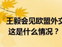 王毅会见欧盟外交与安全政策高级代表博雷利 这是什么情况？