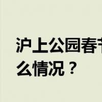 沪上公园春节假期迎客534.91万人次 这是什么情况？