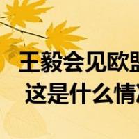 王毅会见欧盟外交与安全政策高级代表博雷利 这是什么情况？