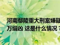 河南鄢陵重大刑案嫌疑人刘锋强被抓获！此前警方曾悬赏5万缉凶 这是什么情况？