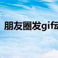 朋友圈发gif动图教程（朋友圈发gif图教程）