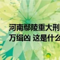 河南鄢陵重大刑案嫌疑人刘锋强被抓获！此前警方曾悬赏5万缉凶 这是什么情况？