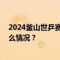 2024釜山世乒赛：中、日、韩、德双线四连胜晋级 这是什么情况？