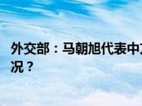 外交部：马朝旭代表中方出席二十国集团外长会 这是什么情况？