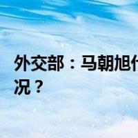 外交部：马朝旭代表中方出席二十国集团外长会 这是什么情况？