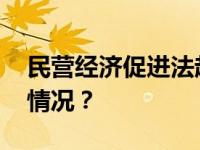 民营经济促进法起草工作已经启动 这是什么情况？