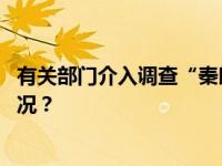 有关部门介入调查“秦朗巴黎丢寒假作业事件” 这是什么情况？