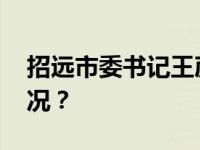 招远市委书记王彦博，任上被查 这是什么情况？