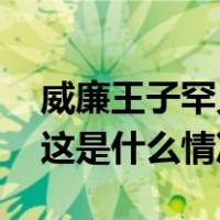 威廉王子罕见发声，呼吁“尽快”结束战斗 这是什么情况？