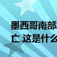 墨西哥南部发生帮派冲突，造成至少12人死亡 这是什么情况？