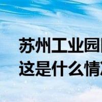 苏州工业园区一高架今晨发生多车相撞事故 这是什么情况？