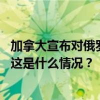 加拿大宣布对俄罗斯新一轮制裁，俄驻加大使称其“空洞” 这是什么情况？