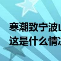 寒潮致宁波山区电线覆冰，3100户用户停电 这是什么情况？