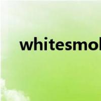 whitesmoke什么意思（whitesmoke）