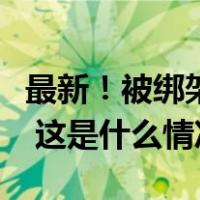 最新！被绑架的澳大利亚飞行员，已安全获释 这是什么情况？