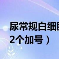 尿常规白细胞2个加号严重吗（尿常规白细胞2个加号）