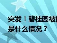 突发！碧桂园被提出清盘呈请，紧急回应 这是什么情况？