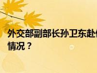 外交部副部长孙卫东赴俄罗斯举行中俄副外长磋商 这是什么情况？