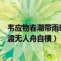 韦应物春潮带雨晚来急野渡无人舟自横（春潮带雨晚来急野渡无人舟自横）