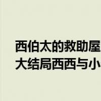 西伯太的救助屋全集（西伯太的救助屋大结局是什么  听说大结局西西与小卡没有在一）