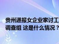 贵州通报女企业家讨工程款陷“寻衅滋事”被批捕：已成立调查组 这是什么情况？