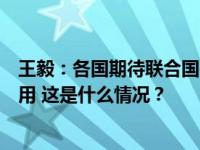 王毅：各国期待联合国在处理全球性挑战中切实发挥主导作用 这是什么情况？