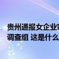 贵州通报女企业家讨工程款陷“寻衅滋事”被批捕：已成立调查组 这是什么情况？