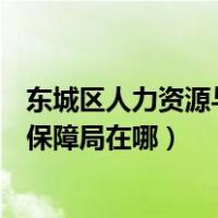 东城区人力资源与社会保障（北京市东城区人力资源和社会保障局在哪）