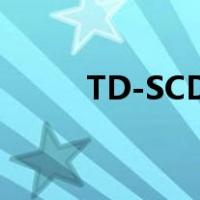 TD-SCDMA/GSM（td scdma）