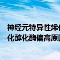 神经元特异性烯化醇化酶偏高原因是什么（神经元特异性烯化醇化酶偏高原因）