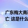 广东梅大高速茶阳路段塌方灾害已致48人死亡 这是什么情况？