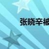 张晓辛被开除党籍 这是什么情况？