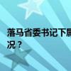 落马省委书记下属被逮捕！被指“搞政治攀附” 这是什么情况？