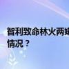 智利致命林火两嫌疑人被捕，竟是消防员与林业官 这是什么情况？