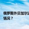 俄罗斯外贝加尔边疆区发生交通事故，致3死19伤 这是什么情况？